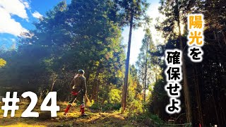 【50万円の廃墟と山の開拓記】#24 環境整備月間　Environmental improvement month