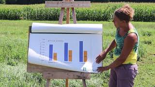 Legume Variety Trial at Borderview Research Farm