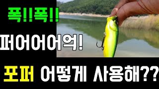 배스낚시 탑워터  폭폭  포퍼를 알아봅니다!! 폭폭폭 퍼어억!!