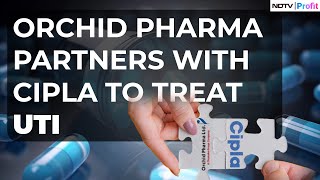 Road Ahead For Orchid Pharma \u0026 Cipla's Partnership To Combat UTI I MD Manish Dhanuka Shares Outlook