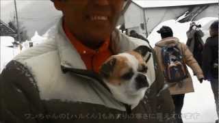 南会津イベント情報 # 大内宿雪まつり　2013.2.9～10