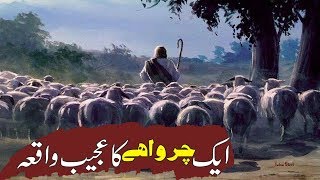 Aik Charwahy Ka Waqya | Nabi Pak SAW Ka Mojza | Islamic Stories Rohail Voice