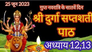 Gupt Navratri Day 7 || गुप्त नवरात्रि के सातवें दिन श्री दुर्गा सप्तशती पाठ अध्याय 12 ,13