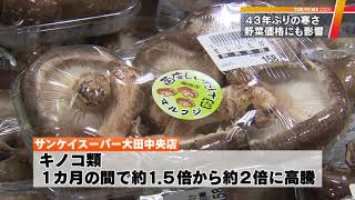 野菜価格が高騰　強まる冷え込み