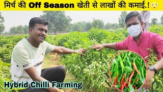 मिर्च की आधुनिक खेती | HyBrid Chilli Farming | Off Season Farming | High Production variety #Ditesh