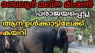 ബേലൂർ മഖ്ന മിഷൻ പരാജയപ്പെട്ടു | വനം വകുപ്പ് ഉദ്യോഗസ്ഥരെ നാട്ടുകാർ തടഞ്ഞു | എങ്ങനെ രാത്രിയിൽ ഉറങ്ങും