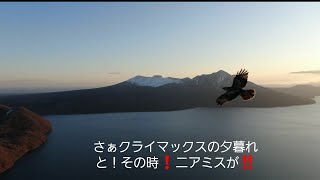 空撮　北海道支笏湖夕暮れのニアミス❗