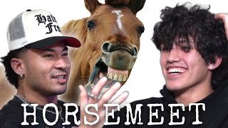 Horsemeet: The Story