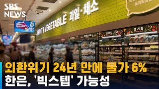 외환위기 뒤 24년 만에 물가 6%…한은, '빅스텝' 가능성 / SBS