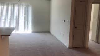 C1 Apartment Tour