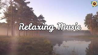 Relaxing Music 鋼琴純音樂  , Meditation Music, Healing Music, Spa Music, Zen, Sleep,Study 1 hour【1小时】