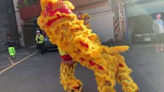 2019 桃園新毅群龍獅團 龍潭三坑 三界爺文化祭