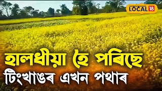 টিংখাঙৰ কৃষি পথাৰত দূৰ-দূৰলৈ কেৱল হালধীয়া আৰু হালধীয়া, দেখি ভাল লাগি যাব আপোনাৰো #local18