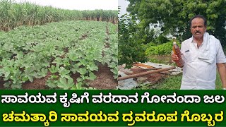 ಸಾವಯವ ಕೃಷಿಗೆ ವರದಾನ ಗೋನಂದಾ ಜಲ | ಸಾವಯವ ದ್ರವರೂಪ ಗೊಬ್ಬರ | go Nanda jal | best organic liquid fertilizer