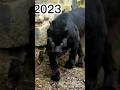 2023 panther🐆and 5,500 bce panther🐆//mythical biology 🧫//💯 #youtubeshorts #trendingshorts