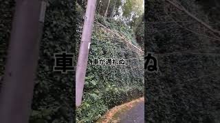 台風被害が皆さんありましたか？