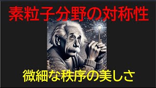 【宇宙解説謎雑学】素粒子分野の対称性　微細な秩序の美　対称性の破れ　意味　計算