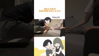 大変親バカな動画^^うちのイッヌかわえぇ〜！笑　しちみちゃんはちわぷーの女の子です＾＾#dog #夫婦 #犬 #おてて重ねてチャレンジ #愛犬