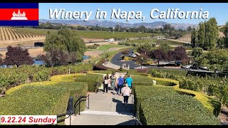 Winery in Napa, and make beef salad