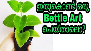 Beginners bottle art / DIY / Beginners special / Green leaf bottle art