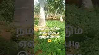 ஏன் அப்படியே இருக்கோம் 🤔😔#treandingshort #viral #life #agriculturelife #todayviralvideos #tamil