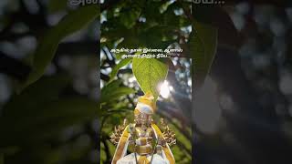 அருகில் தான் இல்லை, ஆனால் அனைத்திலும் நீயே... #god #love #lodmurugan #motivation