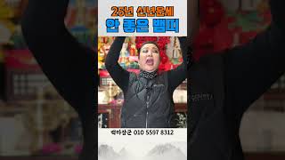 25년 뱀띠의 신년운세는? 대박 날까? #뱀띠운세 #25년운세