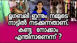 മൃഗബലി ഇന്നും നമ്മുടെ നാട്ടിൽ | Animal Sacrifice In india | Smart Update