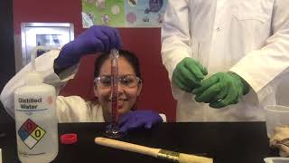 Green Chemistry: Biosurfactants Lab