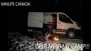 Winter Camping at Maclean Creek Campground. NO BUILD Ford Van #vanlife #vancamping #livinginavan