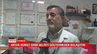 ARTAN DOMUZ GRİBİ BELİRTİ GÖSTERMEDEN BULAŞIYOR