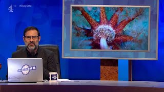 Adam Buxton's nature DJ (8 Out of 10 Cats Does Countdown S20E03 - 14 August 2020)