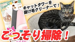 猫の抜け毛におすすめ！バリバリボウルのお掃除はこうやる！抜け毛クリーナーでごっそり掃除します。