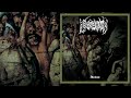 💀 koldbrann moribund 2006 full album 💀