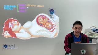 STPM Biology Chapter 10 - Reproduction (Parturition)