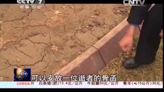 20150405 聚焦三农  新型祭扫 生态殡葬