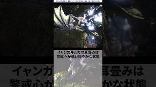 苛烈すぎるイャンガルルガの性格【モンハン】#モンハン #モンスターハンター #mh #mhw #モンハンワールド #モンハン雑学 #モンハンワールド #ゆっくり #イャンガルルガ #shorts