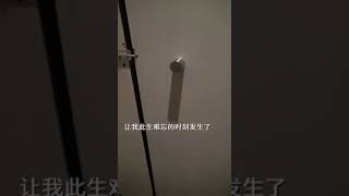 中国特色厕所，老大哥在看着你