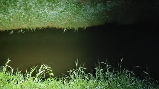 Tempat Dan Hutan Penanggal