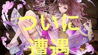 [パズドラ]ヒノミツハに遭遇？ 54回目にしてようやく