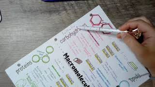 Macromolecule doodle notes