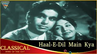 #TributeToDilipSaab | Classical Song of The Day 166 | Haal-E-Dil Main Kya | Uran Khatola(1955)