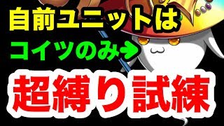 【ブレフロ2】助っ人の力のみで第○の試練までクリア可能！？このソシャゲ課金はいりません！？Brave Frontier 2#271