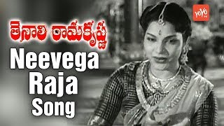 Neevega Raja Video Song | Tenali Ramakrishna Old Telugu Movie | A.N.R | Jamuna | YOYO TV Music