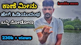 ಕಾಣೆ ಮೀನು ಹೇಗೆ ಹಿಡಿಯುದಂಥ ಬನ್ನಿ ನೋಡೋಣ//Let's see how the kandike fish catch