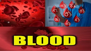 BLOOD || രക്തം || BLOOD CELLS || രക്തകോശങ്ങൾ || BLOOD GROUPS || രക്തഗ്രൂപ്പുകൾ @keralapsc