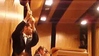 Mahler Hammer Stroke