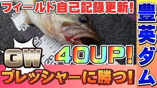 【豊英ダム】GWの鬼ハイプレッシャー時期に再挑戦! 40UPGET! バス釣り BASSfishing