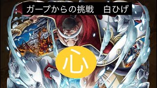 【トレクル】ガープからの挑戦！白ひげ 心属性 攻略