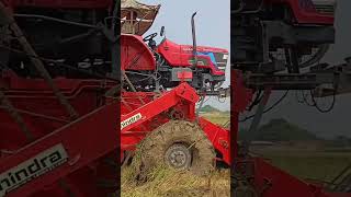 harvestar rise chatting video #viralvideo #subarnalife #farming